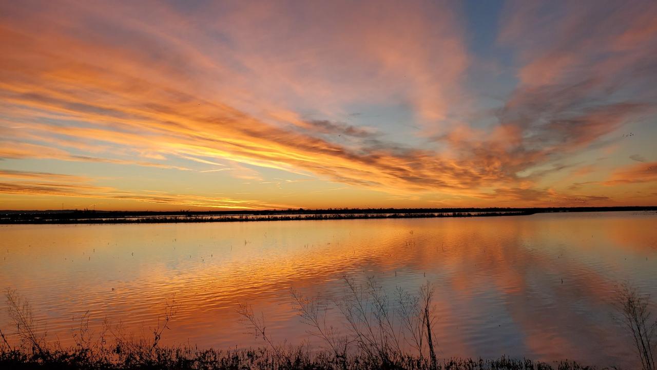 Sunrise over the Yolo Bypass